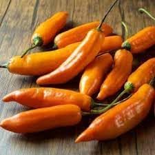 Amarillo Pepper Capsicum annuum seeds for garden planting