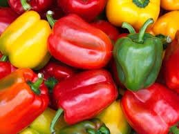 Fresno Pepper Capsicum annuum seeds for garden planting