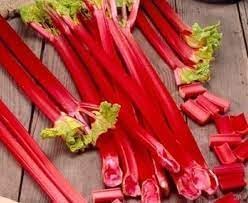 Rhubarbe Rouge Vegetable Seeds for Planting heirloom & Non-GMO Seeds