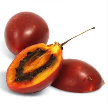 Tamarillo Tree Solanum betaceum seeds for container garden planting