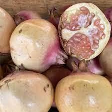 White Pomegranate Fruit Seeds - Grow Sweet, Tangy Pomegranates in Your Garden,Heirloom Seeds
