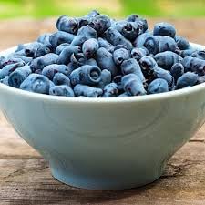 Haskap Fruit Seeds for Planting - Hardy, Berry-Laden Shrubs for Nutrient-Rich Berries, Heirloom Seeds