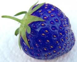 Blue Strawberry Fruit Seeds for Planting - A Sweet and Versatile Fruit for Your Garden 100 Pcs pcs