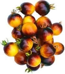 Yellow Red Tomato Seeds – Sweet & Tangy Tomatoes Perfect for Fresh Salads & Cooking 100 Pcs pcs