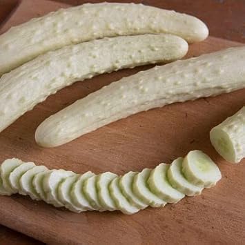 White Cucumber Vegetable Seeds for Planting, heirloom & Non-GMO Seeds
