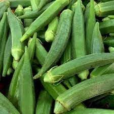 Okra Abelmoschus esculentus seeds for garden planting