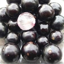 Cucumis Dipsaceus Seeds - Hardy and Uncommon Fruits for Specialty Gardening 100 Pcs pcs