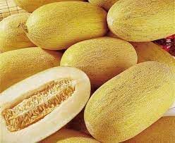Hami Melon Fruit Seed Collection for Sweet Melons 100 Pcs pcs