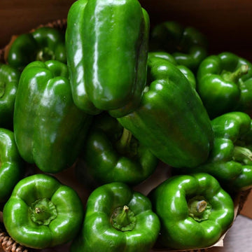 Cal Wonder Sweet Pepper seeds for planting heirloom & Non-GMO Seeds