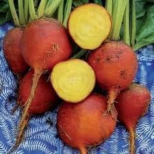 Red Beetroot Seeds for Planting - 100 Pcs pcs