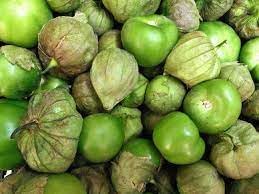 Tomatillo Fruit Seeds for Growing Tart and Versatile Green Tomatoes 100 Pcs pcs