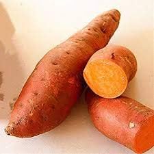 Orange Sweet Potato Vegetable Seeds for Planting – Non-GMO, Heirloom Vegetable Seeds for Garden