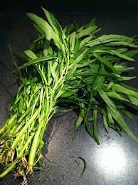 Pak-Boong Seeds for Planting - 100 Pcs pcs