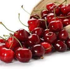 Winterberry Holly Seeds for Festive, Decorative Plants 100 Pcs pcs