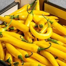Chili Seeds for Planting Yellow - 100 Pcs pcs