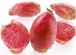 Prickly Pear Fruit Seeds for Planting - Cactus Lovers | Hardy & Resilient | Heirloom Seeds