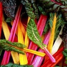 Swiss Chard Plant Seeds for Planting - 100 Pcs pcs