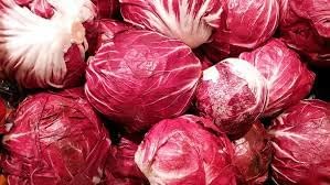 Radicchio Seeds for Planting - 100 Pcs pcs