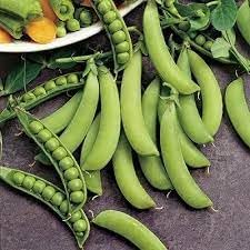 Snap Pea Vegetable Seeds for Planting - 100 Pcs pcs
