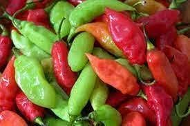 Trinidad Pimento Pepper Seeds – Mild and Flavorful Pepper Variety 100 Pcs pcs