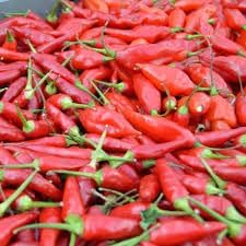 Guam Boonies Pepper Vegetable Seeds for Planting - 100 Pcs pcs