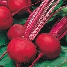 Beetroot Fruit Seeds for Growing Nutrient-Rich and Earthy Beetroots 100 Pcs pcs