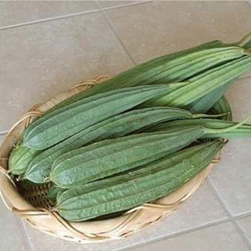 Ridge Gourd Seeds for Planting - 100 Pcs pcs