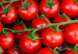 Dark Pink Tomato Seeds for Planting - 100 Pcs pcs