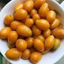 Yellow Spondias Fruit Seeds for Planting - Growing Tropical Fruit Trees for Home Garden, GMO Free