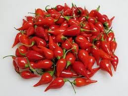 Biquinho Vegetable Seeds for Planting heirloom & Non-GMO Seeds