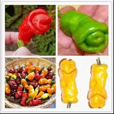 Chili Seeds for Planting, Multi-Colored, 100 Pcs pcs