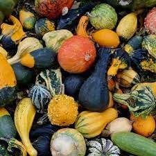 Ornamental Gourd Seeds for Planting - 100 Pcs pcs