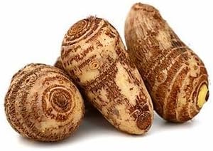 Alocasia Macrorrhiza Vegetable Seeds for Planting, heirloom & Non-GMO Seeds