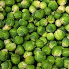 Brussels Sprouts Cabbage Seeds for Planting heirloom & Non-GMO Seeds