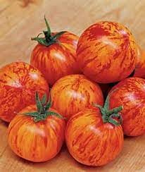 Tomato Zebra Vegetable Seeds for Planting heirloom & Non-GMO Seeds