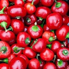 Cherry Pepper Seeds for Planting heirloom & Non-GMO Seeds