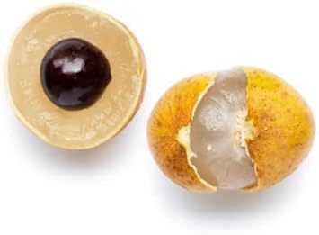 Golden Yellow Longan Fruit Seeds - A Rare Tropical Gem to Enhance Your Garden 100 Pcs pcs