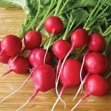 Rainbow Radish Seeds for Planting Red - heirloom & Non-GMO Seeds