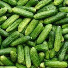 Gherkin Vegetable Seeds for Planting - 100 Pcs pcs