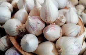 Clove Garlic Seeds for Planting, 100 Pcs pcs