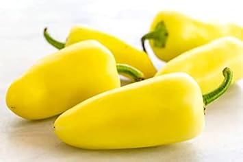 Yellow Hot Pepper Vegetable Seeds for Planting heirloom & Non-GMO Seeds