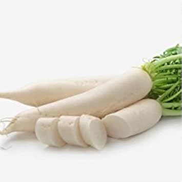Radish Seeds for Planting, White, 100 Pcs pcs