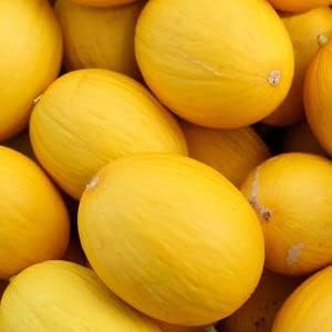 HAMI Melon Fruit Seeds Yellow 100 Pcs pcs
