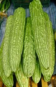 Bitter Melon Gourd Seeds for Planting - 100 Pcs pcs