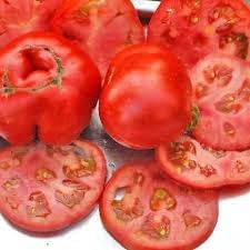 Girl Tomato Seeds for Planting - 100 Pcs pcs