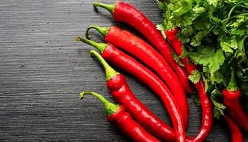 Cowhorn Pepper Capsicum annuum seeds for garden planting