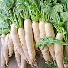 Daikon Radish Seeds for Planting - 100 Pcs pcs