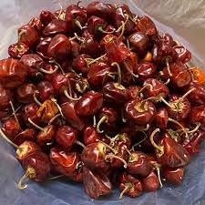 Ramnad Mundu Round Chili Capsicum annuum seeds for planting