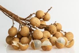 70pcs Longan Fruit Seeds - Grow Exotic Longan Trees for Sweet, Juicy Fruits 100 Pcs pcs