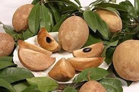 Sapodilla Fruit Seeds for Planting - Homegrown Tropical Sweetness, Heirloom Seeds, GMO Free